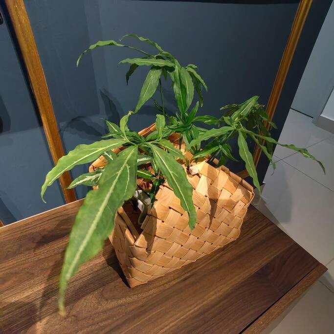 Alocasia Geniehome 3Br Free Wifi @ Utropolis Shah Alam Eksteriør billede